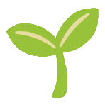seedling